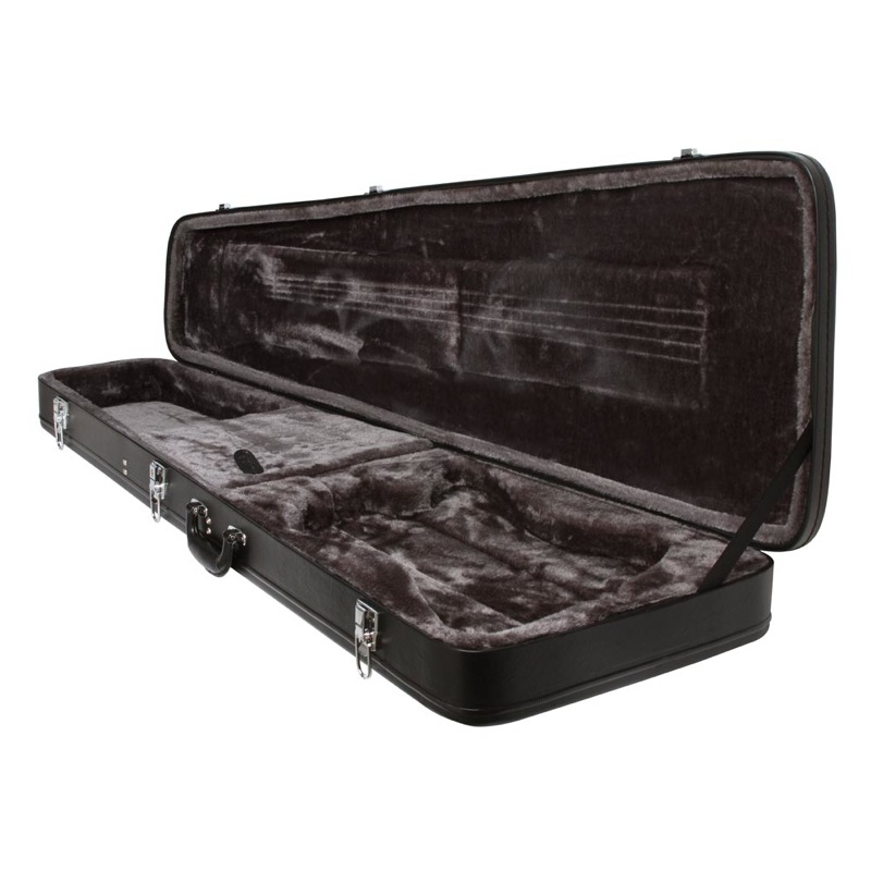 epiphone thunderbird bass case