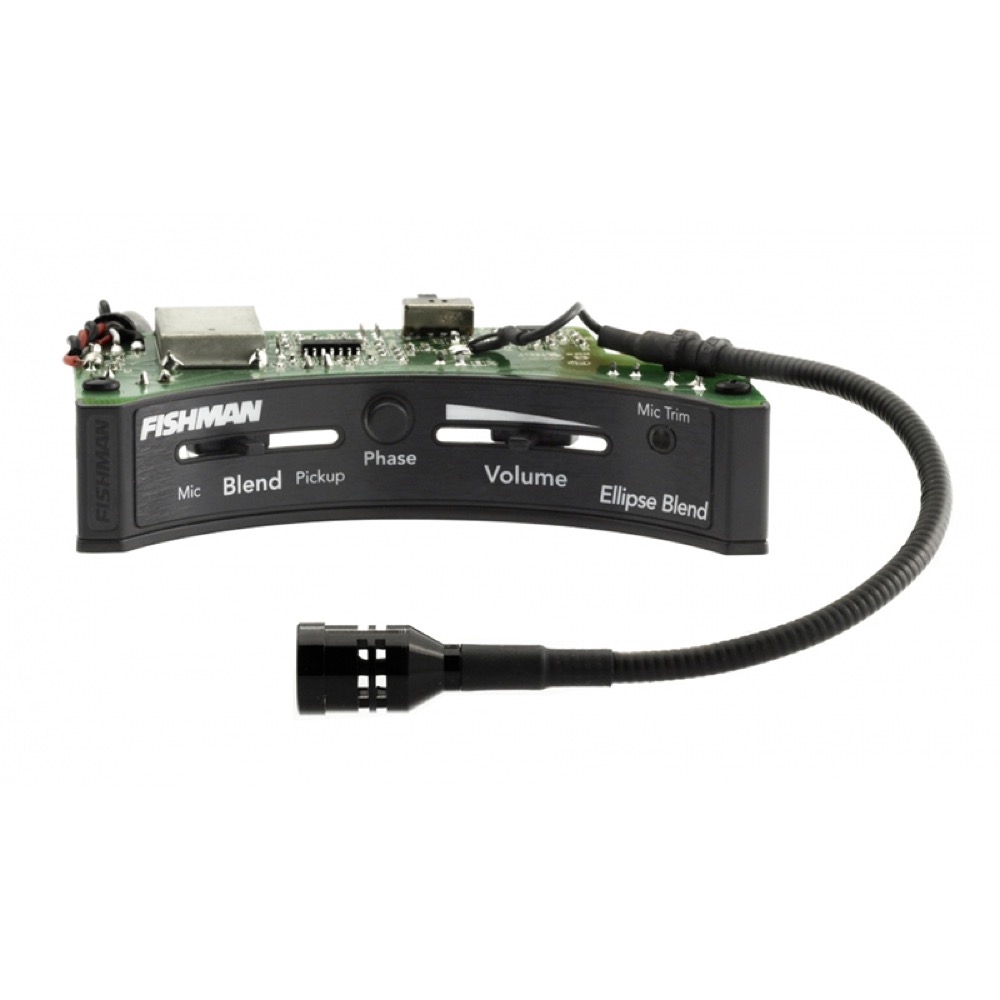 楽天市場】FISHMAN BP-100 ウッドベース用ピエゾピックアップ 新品