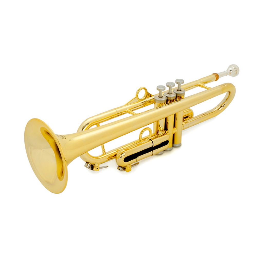 超特価激安 Pinstruments Ptrumpet Hytech Gold Ptrumpet1htg プラスチック製トランペット Chuya Online 代引不可 Hazle Com