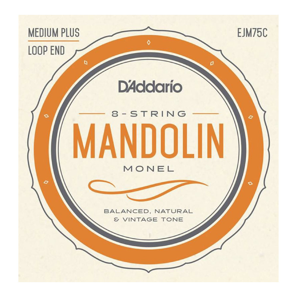 楽天市場】D'Addario XSM1140 XS PB Medium Mandolin 11-40 マンドリン弦 : chuya-online