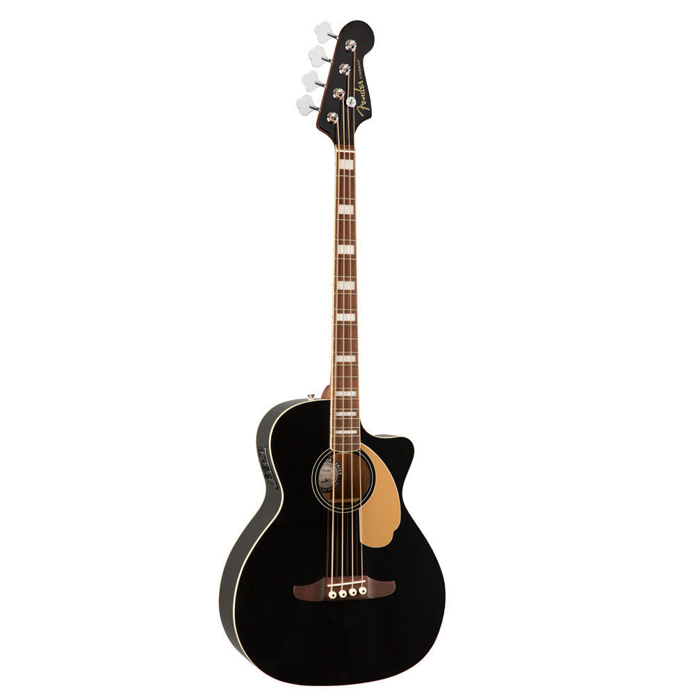 送料無料・日本製 FISHMAN Platinum Stage DI アコギ ベース 