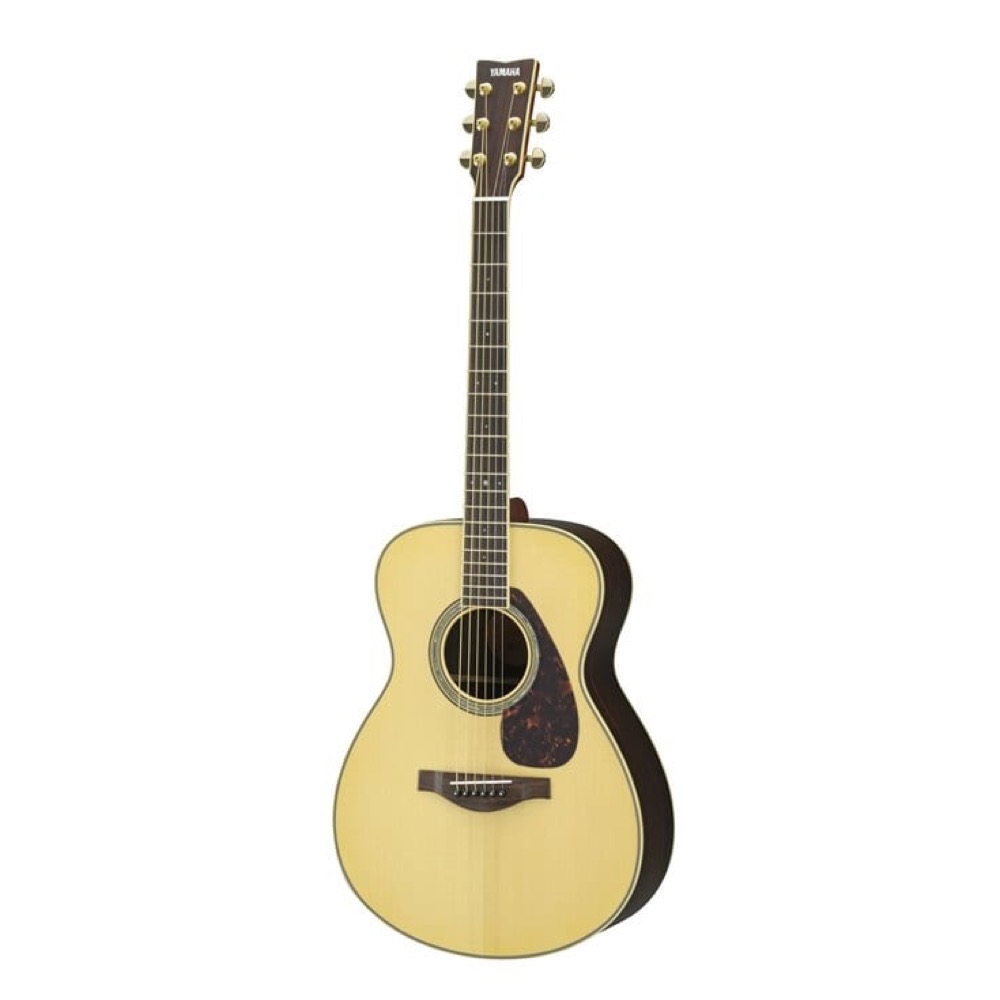 Stafford Maple レアチーズ エレアコ ギター アコギ 楽天市場】【店頭展示アウトレット】 Stafford Maple-Rarechees