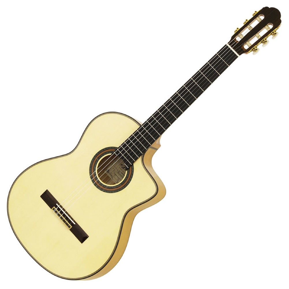 楽天市場】ARIA A-90CWE FISHMANプリアンプ搭載 エレガット