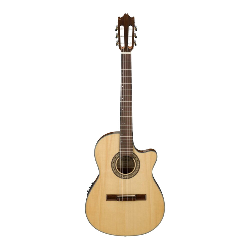楽天市場】Ibanez アイバニーズ GA30TCE DVS エレガット