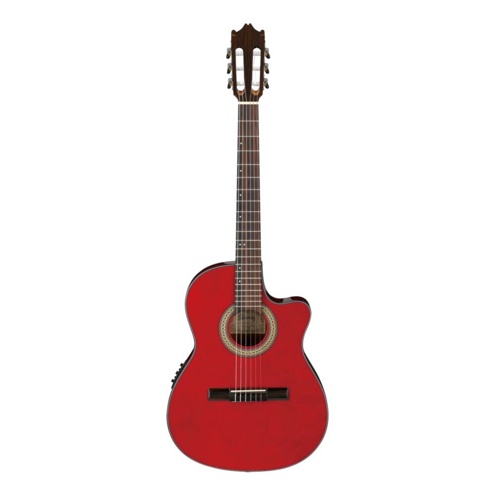 楽天市場】Ibanez アイバニーズ GA30TCE DVS エレガット