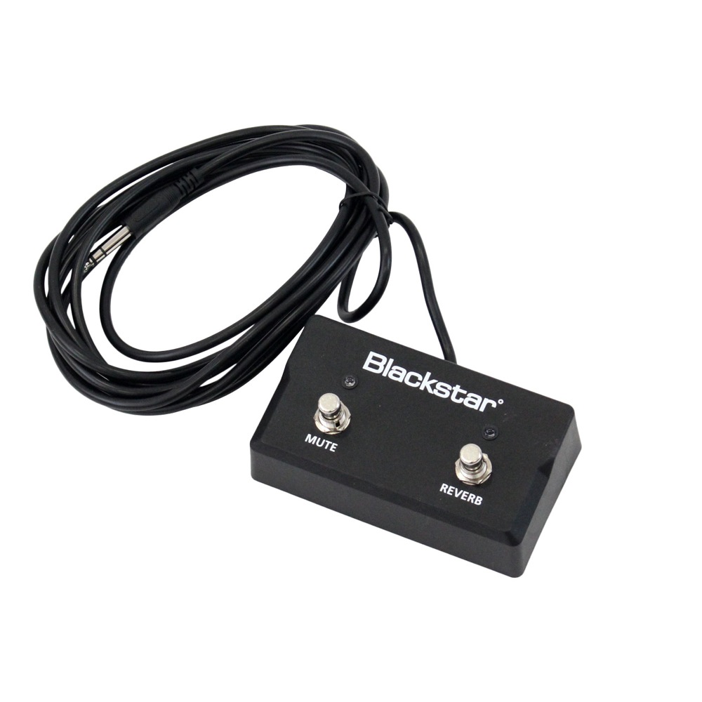 ブラックスター BLACKSTAR FS-17 2-button footswitch フットスイッチ