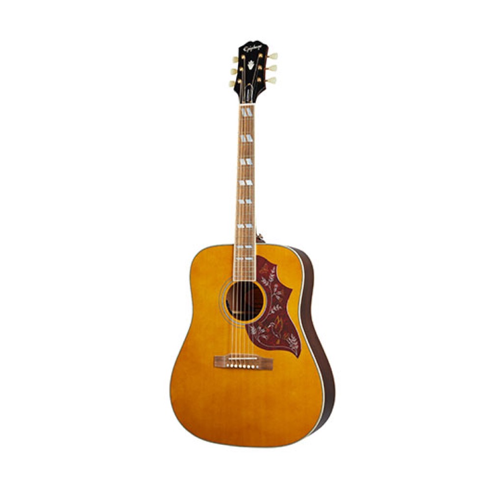 ギター Epiphone Hummingbird Performer PRO Epiphone Hummingbird Performer Pro -Ebony-《アコギ