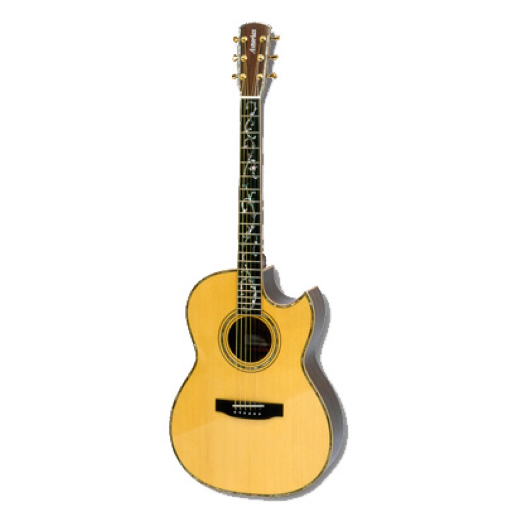 希少ASTURIAS（アストリアス） ASTURIAS アストリアス 7弦ギター 7-STRINGS 2023年 New 1185121