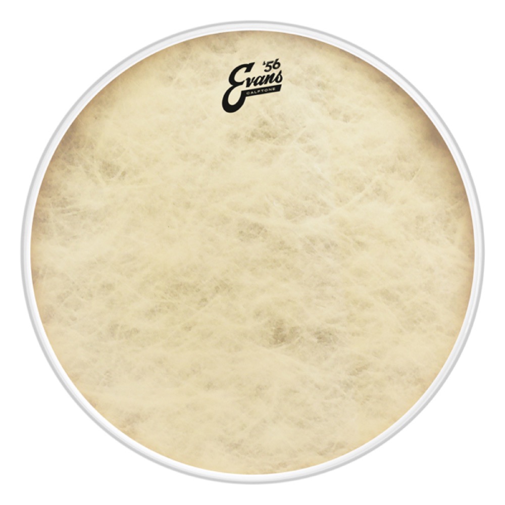 EVANS BD20CT '56 - Calftone Bass バスドラムヘッド｜chuya-online チューヤオンライン