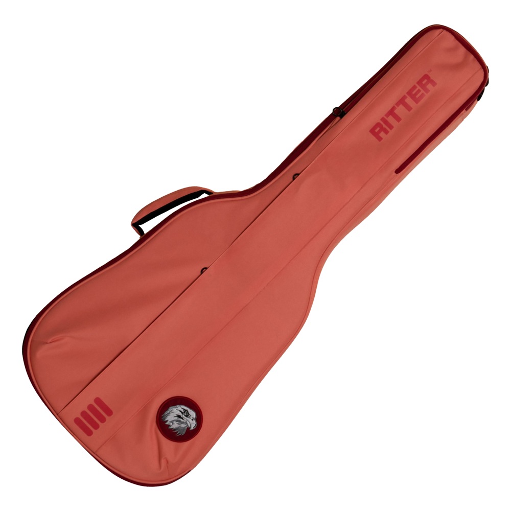RITTER RGB4?D FRO BERN Dreadnought アコースティックギター用ギグバッグ