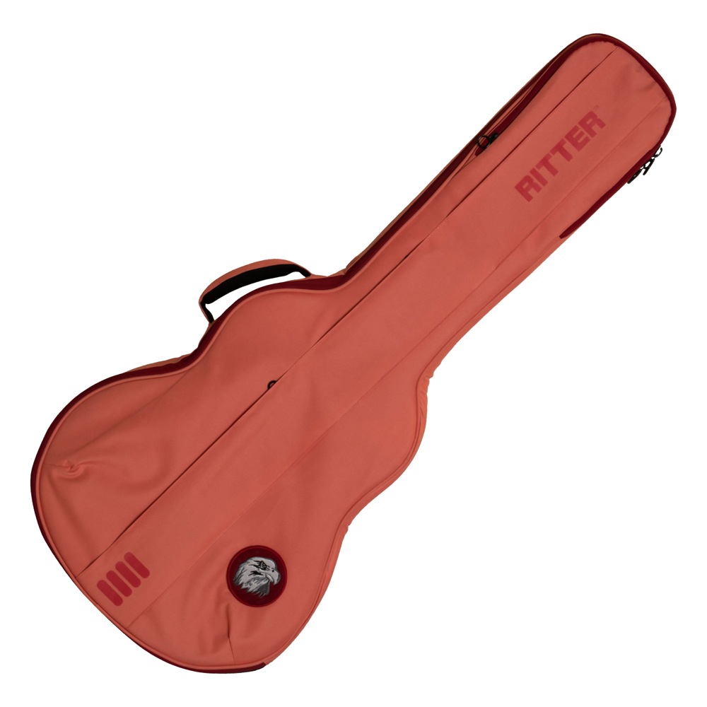 RITTER RGB4 SA FRO BERN Semi Acoustic(335) エレキギター用ギグバッグ
