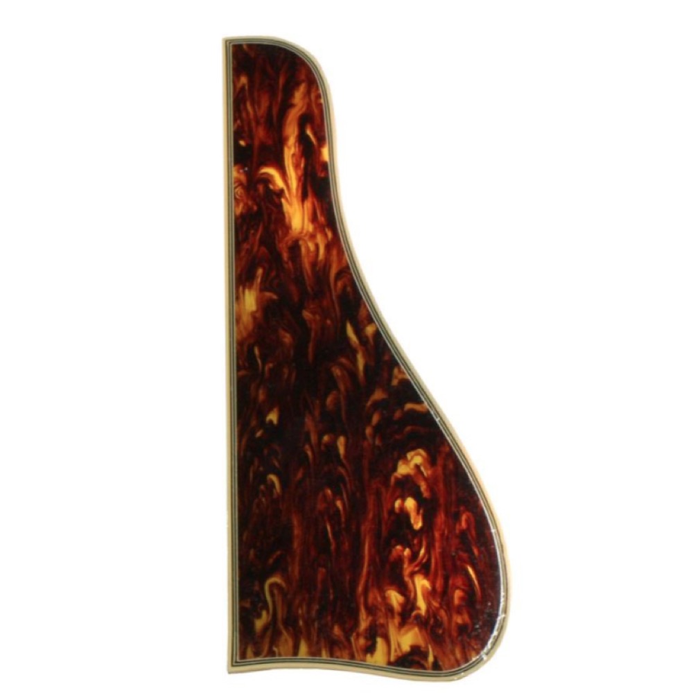 Allparts 8074 Pg 9817 043 Bound Pickguard For Gibson L 5 Non Cutaway Tortoise ピックガード 今ダケ送料無料