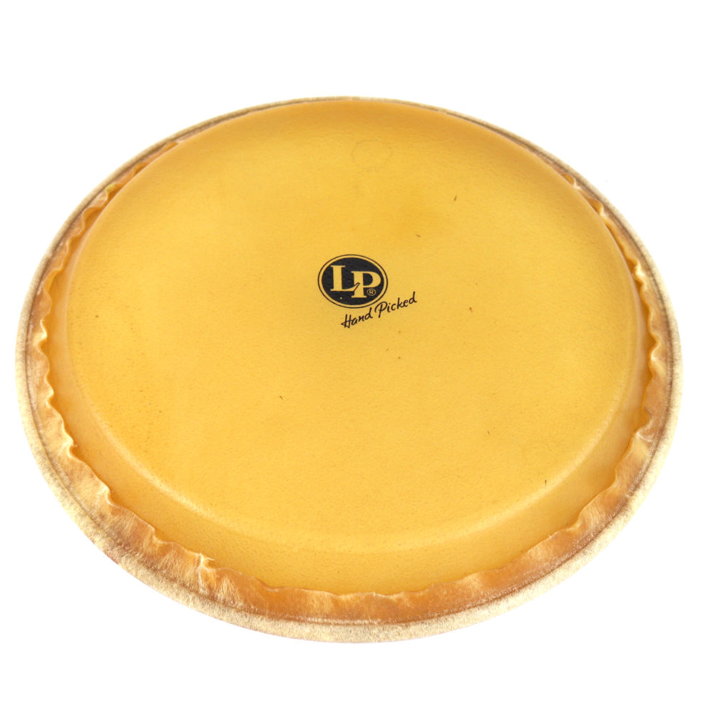 LP LP274C Zコンガヘッド12-1/2 コンガ用ヘッド