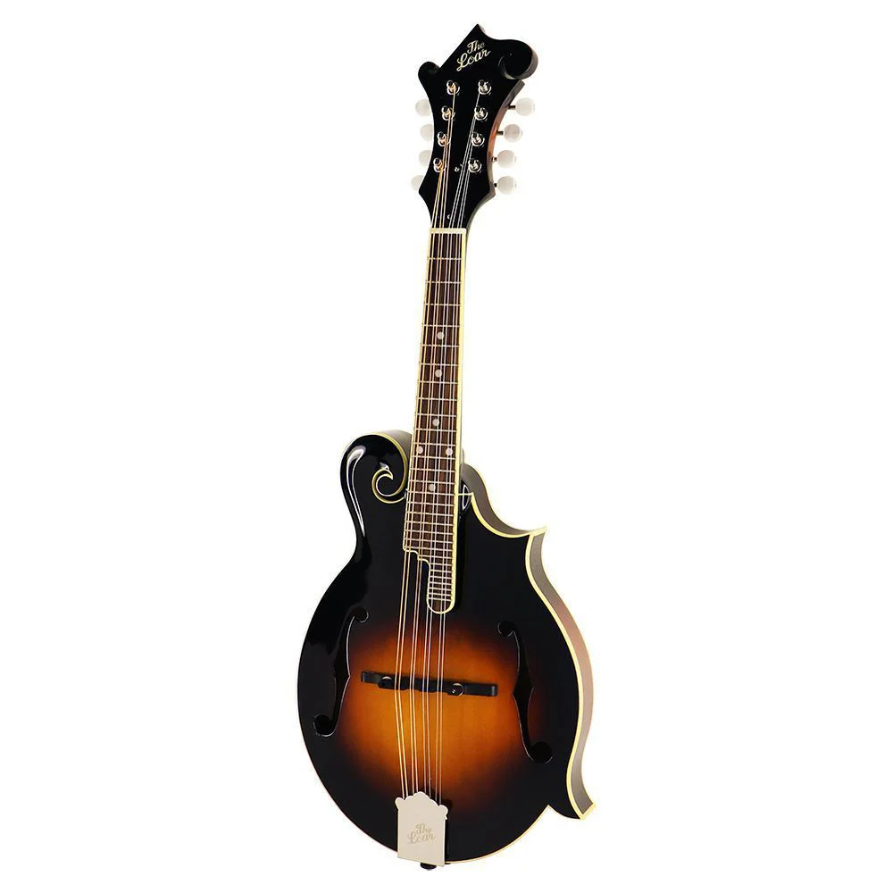 2022発売 The Loar LM-520-VS フラットマンドリン 新品弦おまけつき