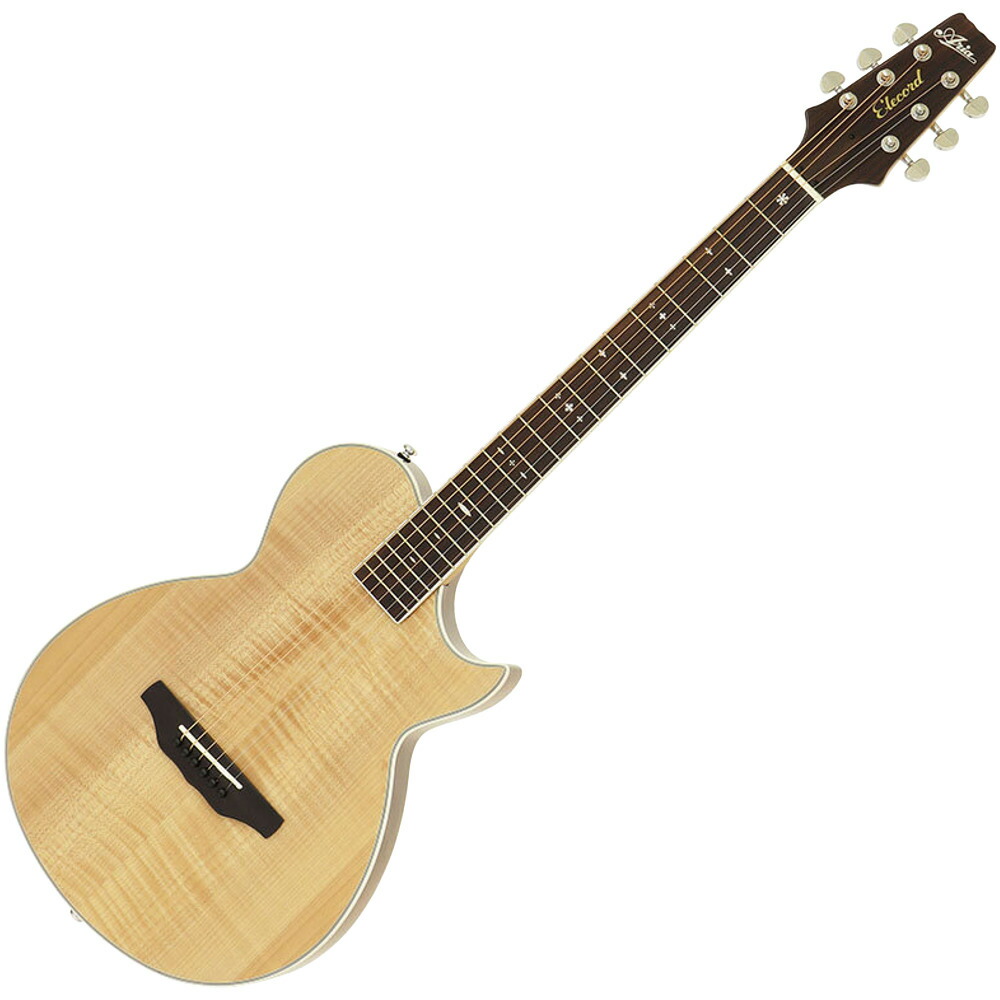 Aria ＆ co アコースティックギター ARIA（楽器） アリア アコギ アコースティックギター ARIA-101