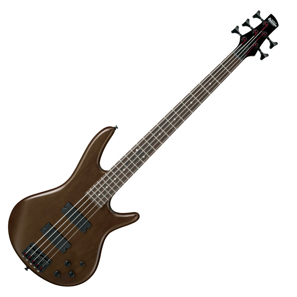 楽天市場】GIO Ibanez ジオ・アイバニーズ 初心者向け5弦エレキ