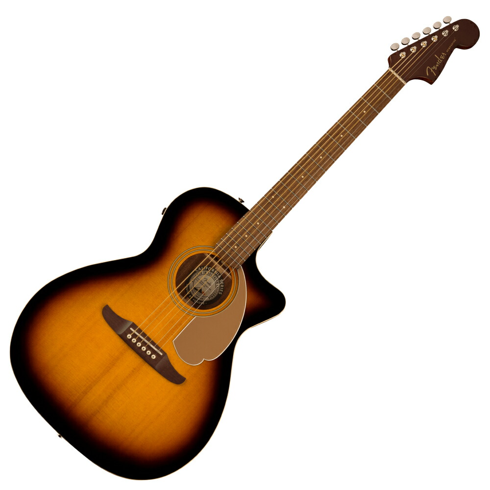 楽天市場】Fender Acoustics Newport Player WF BP Tidepool
