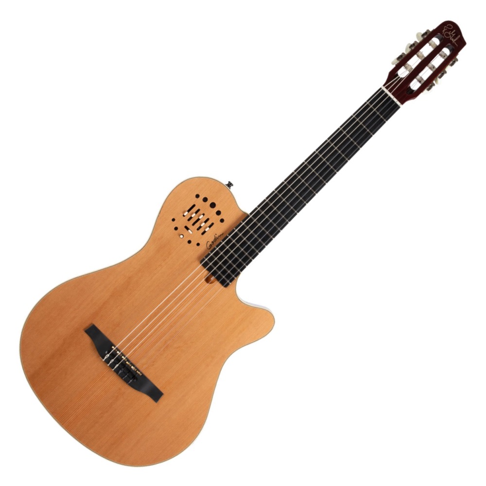 Godin Multiac Nylon SA ゴダン エレガッドギター Amazon | GODIN (ゴダン) ナイロンギター エレガットギター
