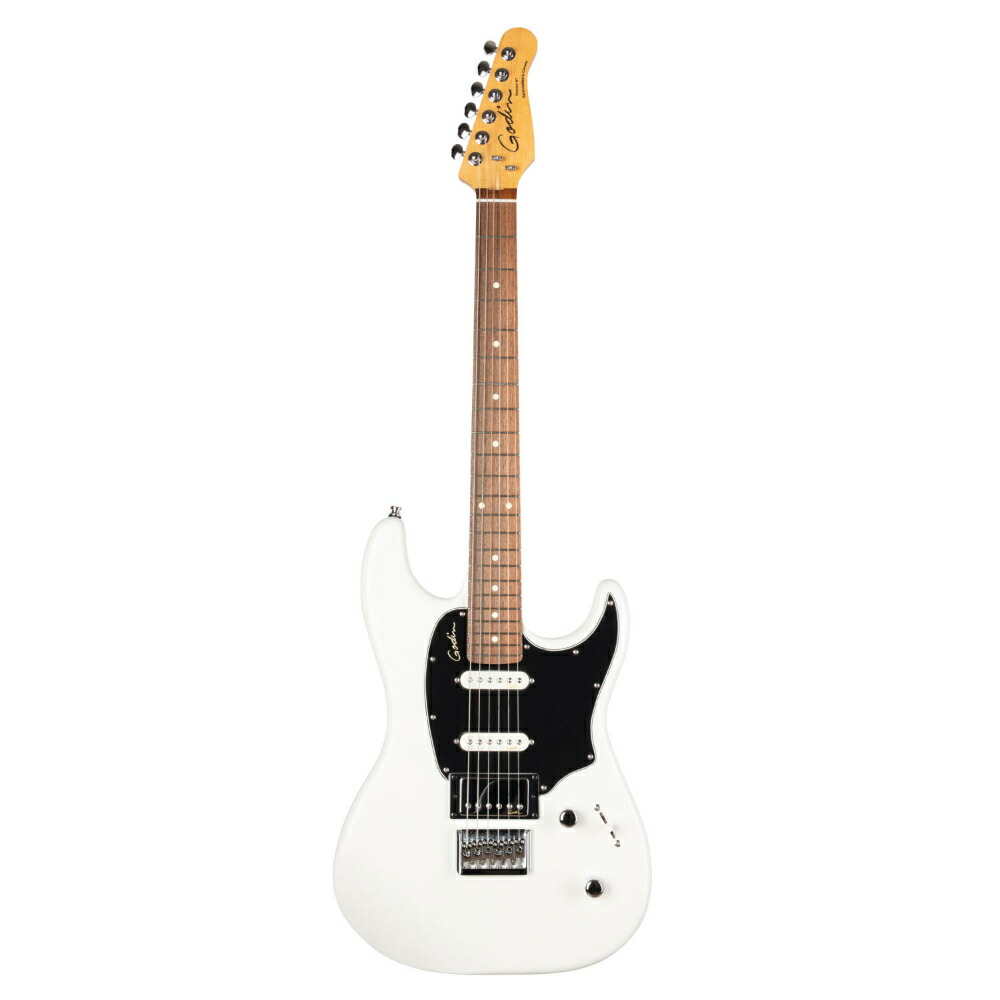 楽天市場】Godin Session HT -Trans Cream- 新品[ゴダン][White