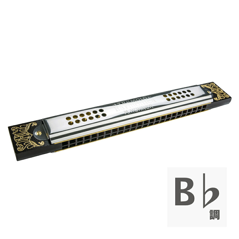 HOHNER ホーナー リプレイスメント用ハーモニカ 53/48 B♭ トレモロハーモニカ｜chuya-online チューヤオンライン 12,320円