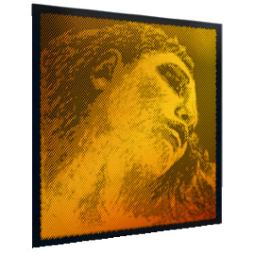 楽天市場】PIRASTRO VN弦 EVAH PIRAZZI GOLD G線 Gold 4154