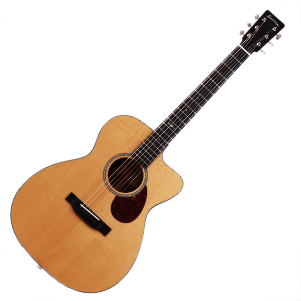 ギター Eastman AR-175CE Sunburst Eastman AR-175CE -Sunburst- 【2.63kg】《エレキギター