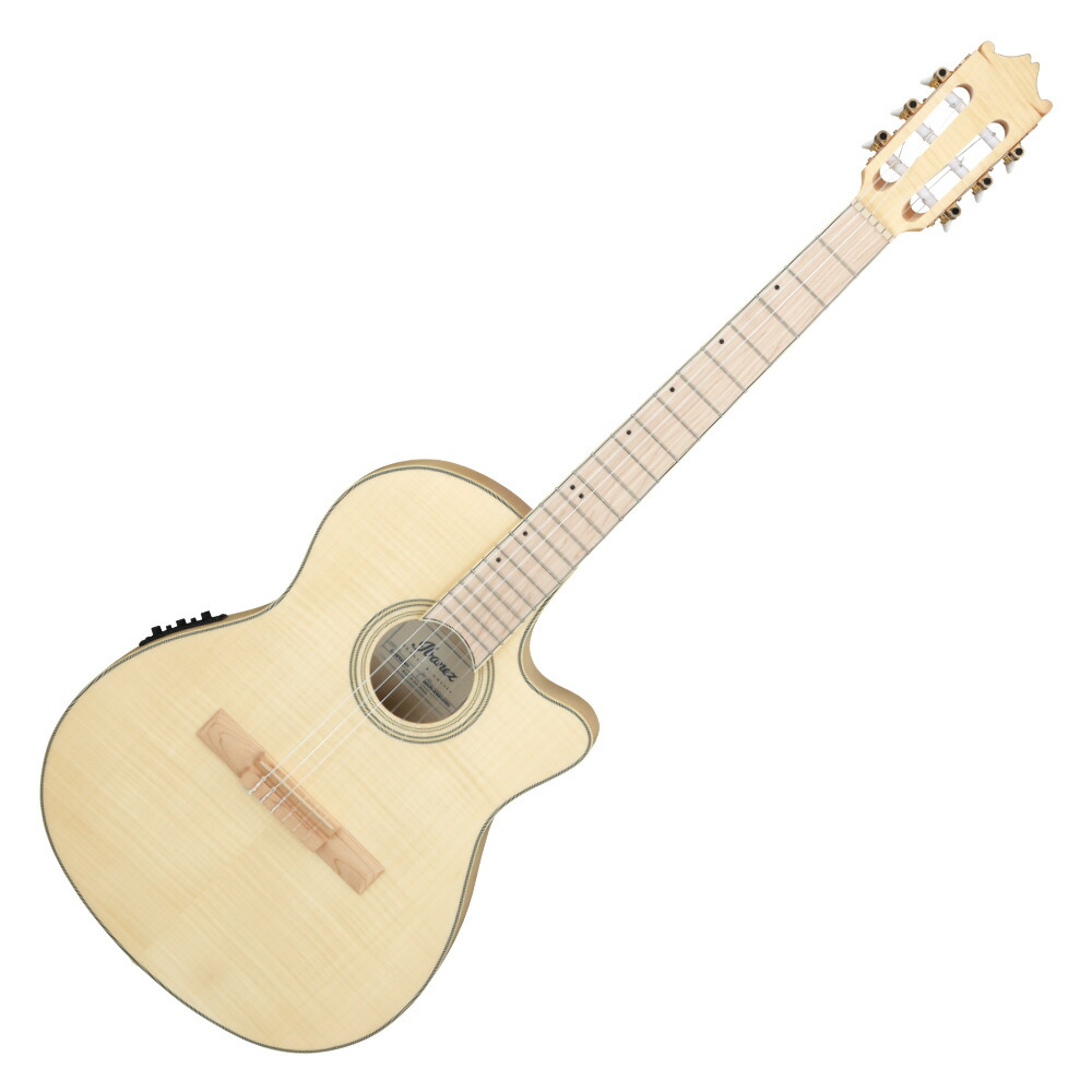Fender CN-140SCE Natural ナイロン　エレガット Amazon.com: Fender CN-140SCE Thinline Concert Nylon String