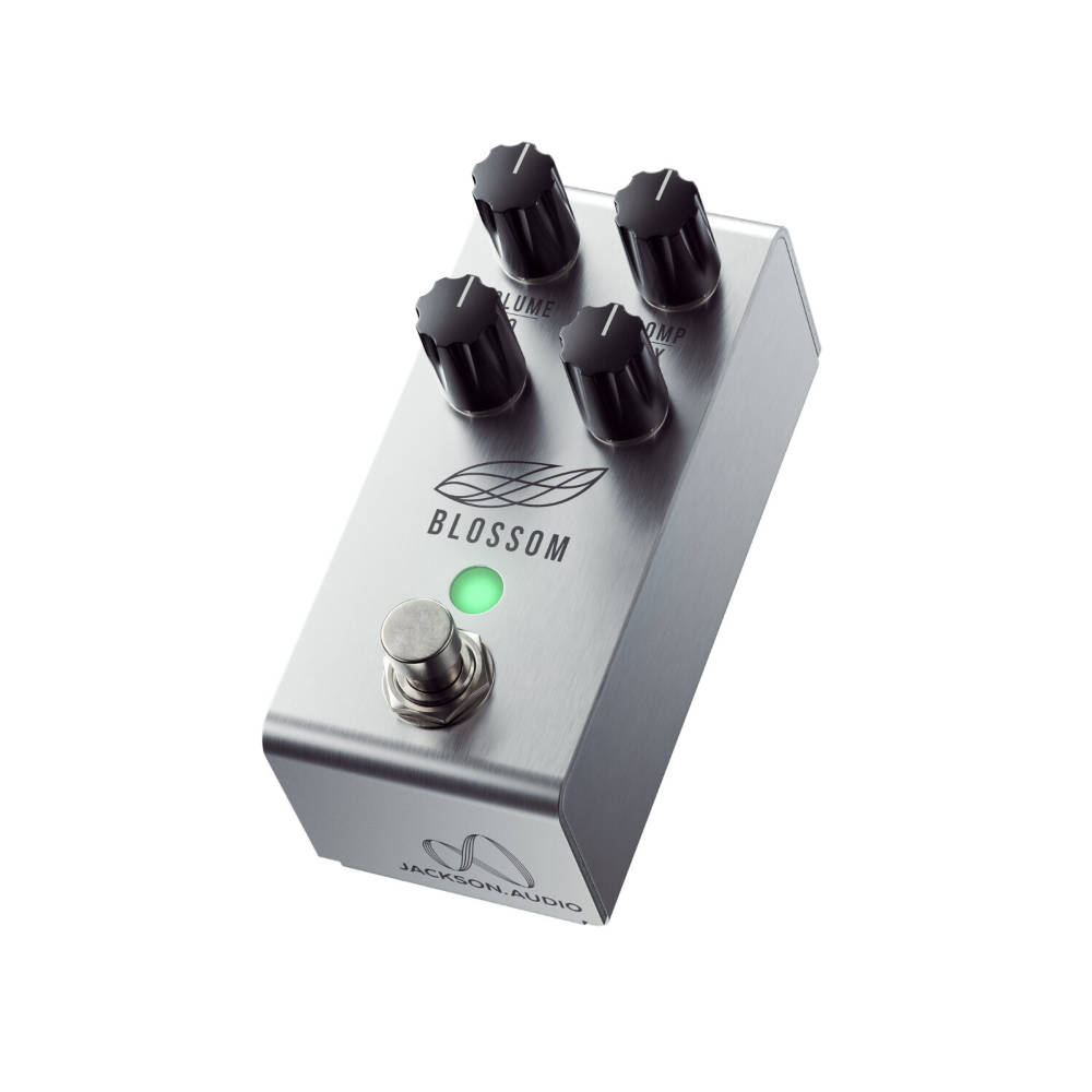 Jackson Audio BLOSSOM コンプレッサー ギターエフェクター｜chuya-online チューヤオンライン