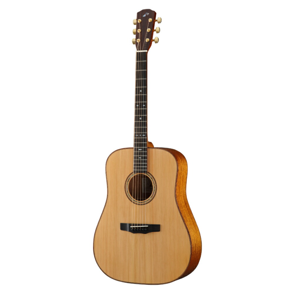 楽天市場】MORRIS M-354 TSモーリス アコースティックギター F