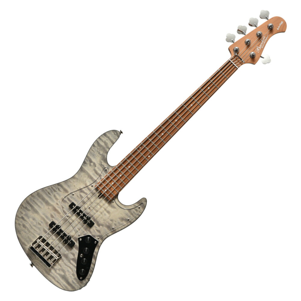 GIO Ibanez ジオ・アイバニーズ 5弦エレキベース Ibanez GIO ジオアイバニーズ 5弦エレキベース GSR205B〔ソフト