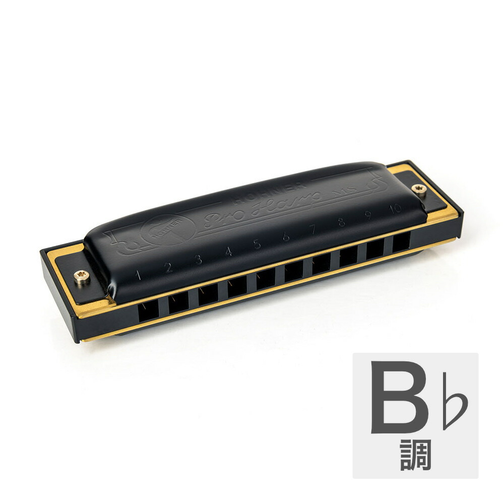 HOHNER ホーナー Pro Harp 562/20P B♭ 10ホールハーモニカ ブルースハープ