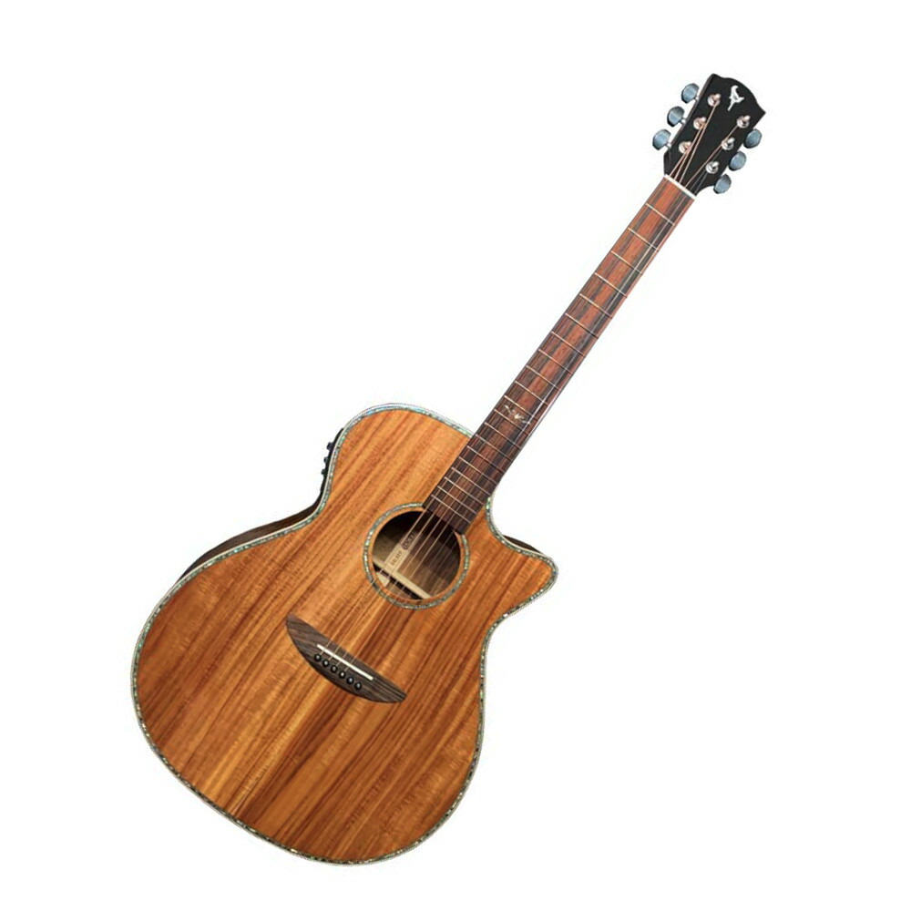 楽天市場】DCT GR-742CE エレアコ アコースティックギター