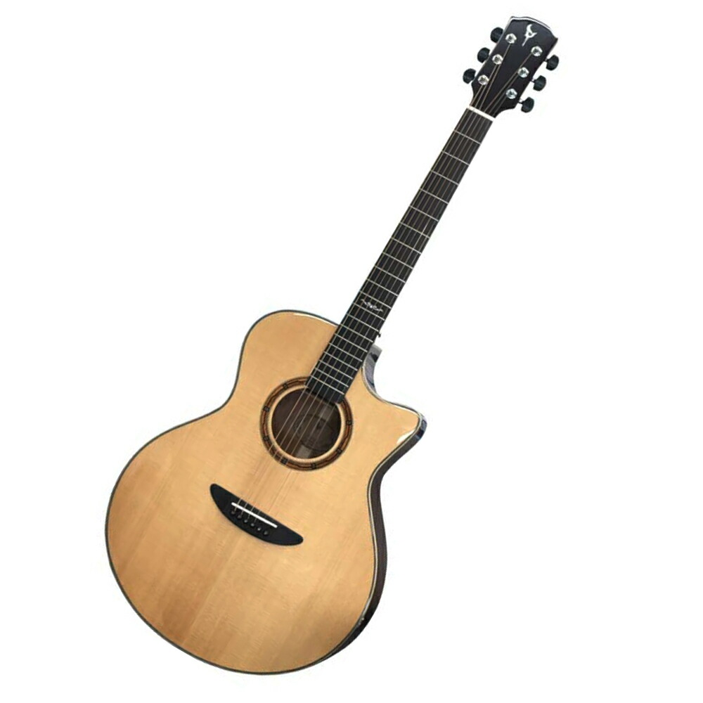 楽天市場】PLAYTECH（プレイテック） エレアコ ギター RG10