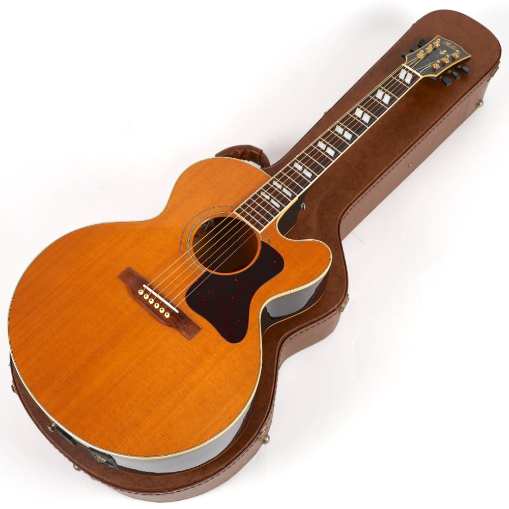 TEISCO(テスコ)MODEL 14 フルアコ HC付 TEISCO(テスコ)MODEL 14 フルアコ HC付