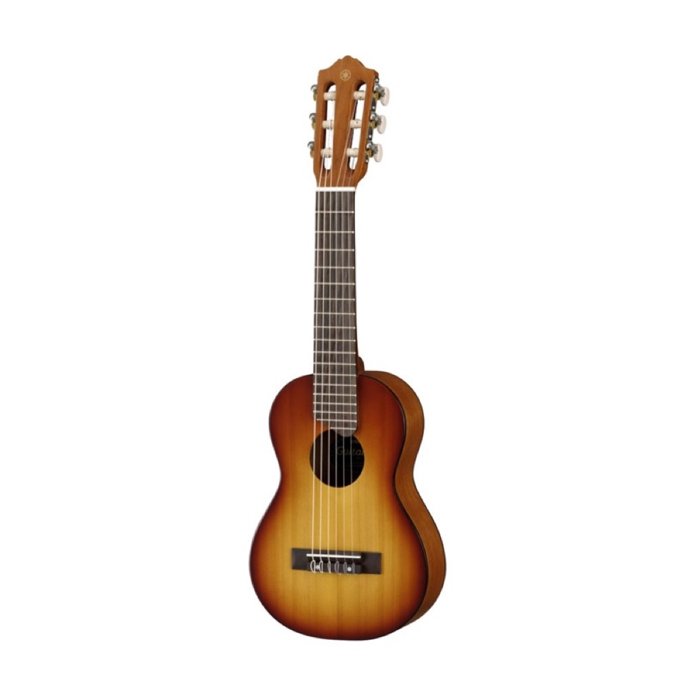 【楽天市場】IBANEZ EWP14WB OPN ミニアコースティックギター 