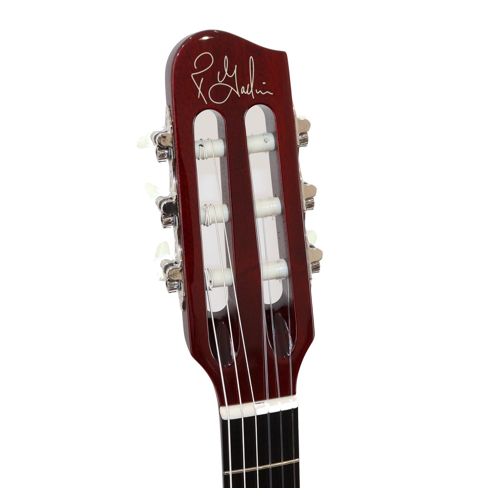 高質で安価 楽天市場 Godin Acs Slim Sa Natural ナイロン弦 エレガット Chuya Online 日本全国送料無料 Lionmebel Com