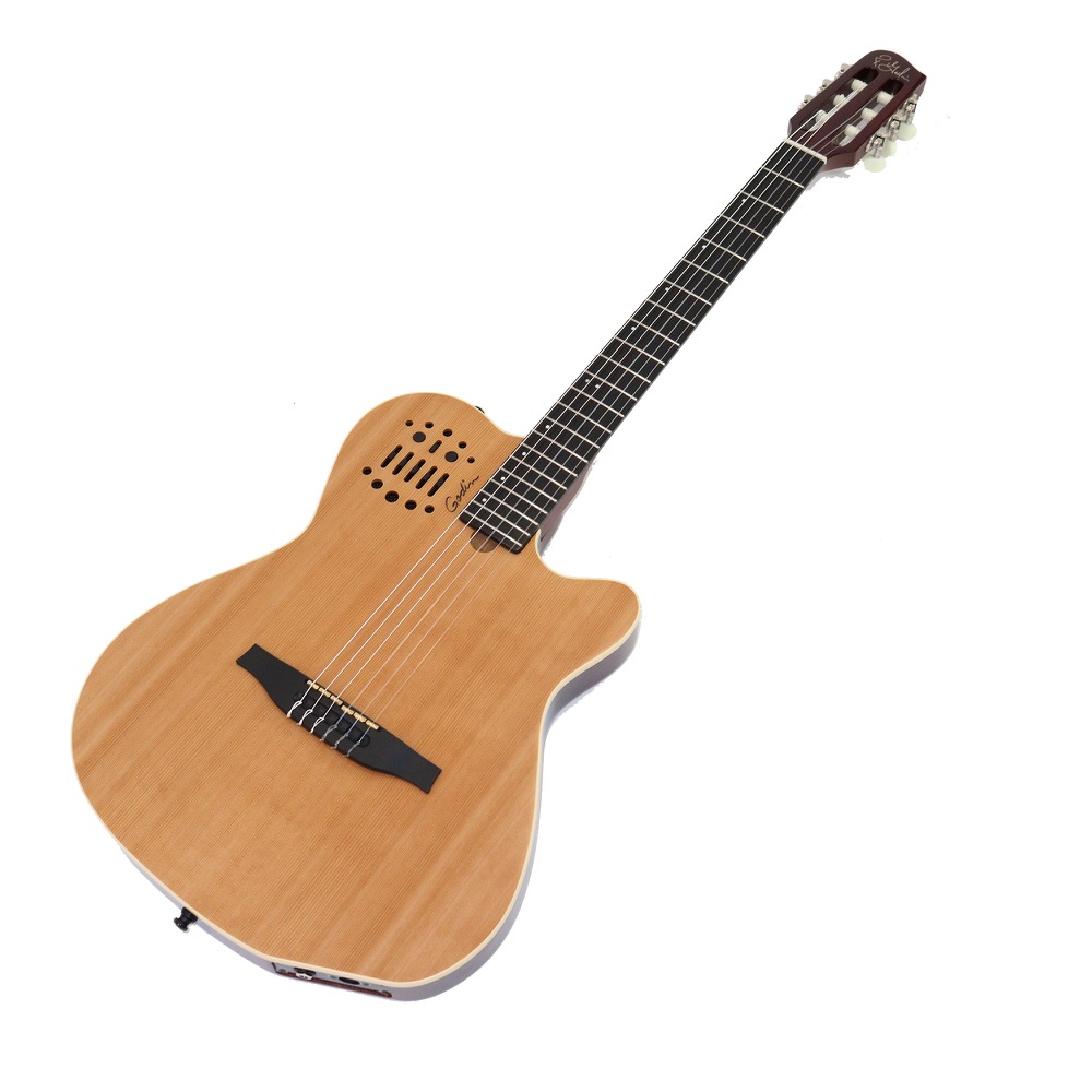 高質で安価 楽天市場 Godin Acs Slim Sa Natural ナイロン弦 エレガット Chuya Online 日本全国送料無料 Lionmebel Com