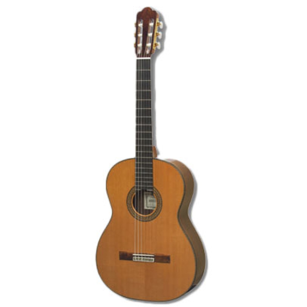 楽天市場】ASTURIAS RENAISSANCE C 650mmスケールタイプ クラシック