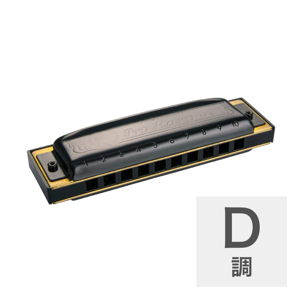 ホーナー ハーモニカ D調 HOHNER Pro Harp MS X 562/20MSX D 10ホールハーモニカ ブルースハープ ブルースハーモニカ