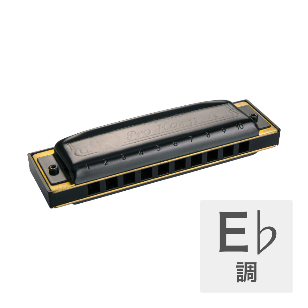 楽天市場】HOHNER ホーナー プロハープ E♭ 562/20 10穴 ハーモニカ