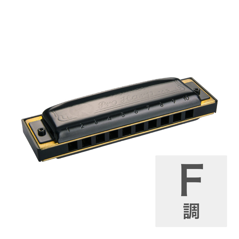 ホーナー ハーモニカ F調 HOHNER Pro Harp MS X 562/20MSX F 10ホールハーモニカ ブルースハープ ブルースハーモニカ 5,638円