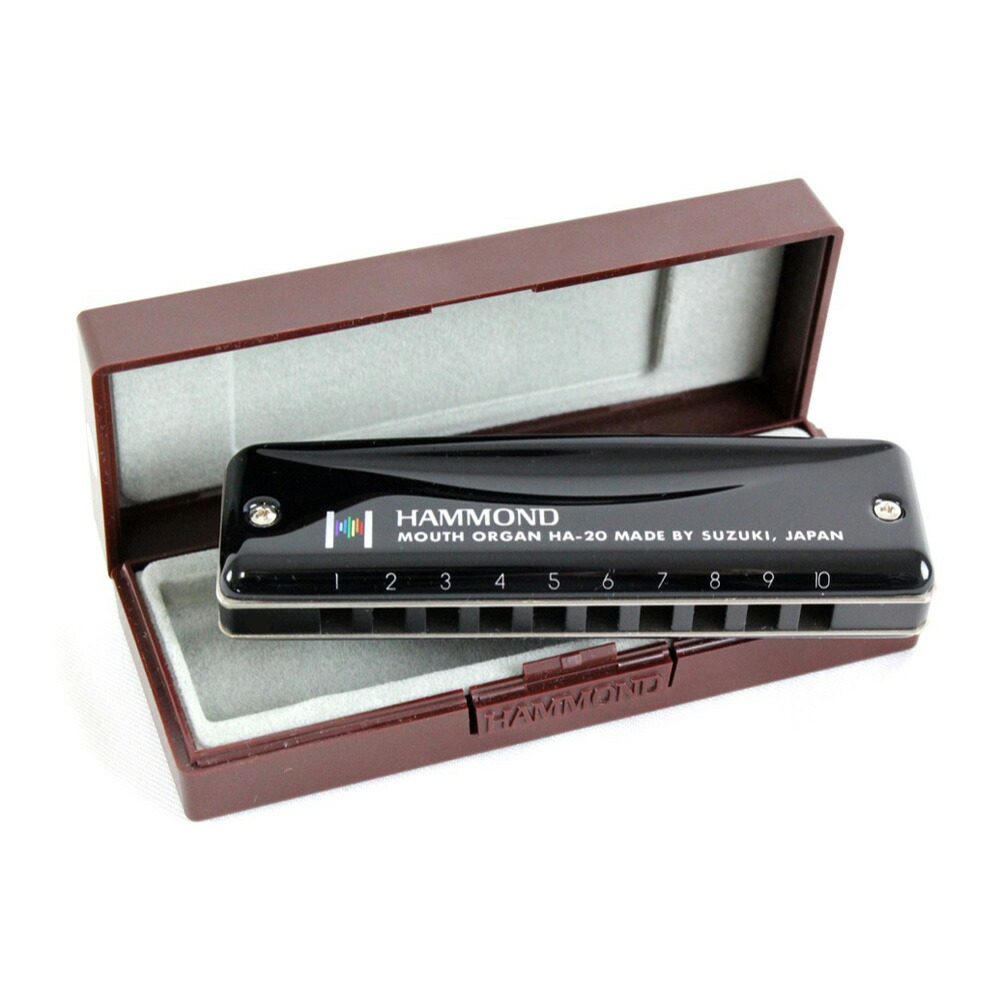 楽天市場】【ポイントUP】鈴木楽器 10穴ハーモニカ PH-20N Key：C