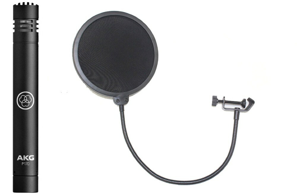 楽天市場】アーカーゲー AKG P120 Project Studio Line ポップ