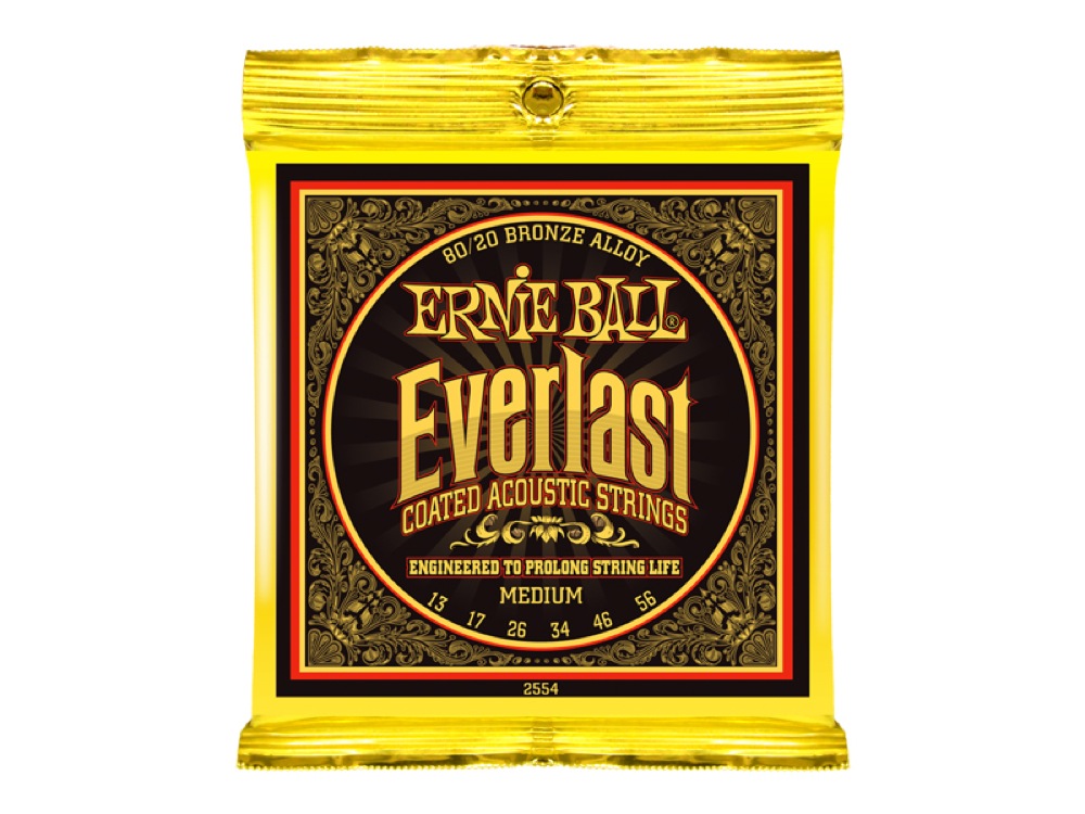 今月限定／特別大特価 アーニーボール ERNIE BALL 2550 Everlast