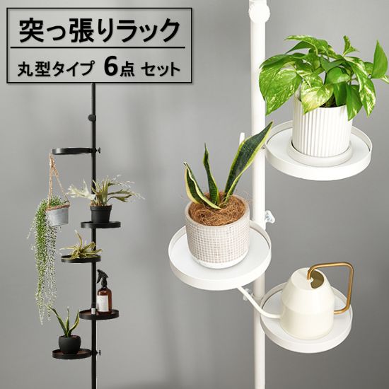 突っ張り 極点仕合わせ 丸型 6点仕掛ける プランターラック 見せる納める 室内 部屋の入り口納める 壁面納める 仕合わせ プランタースタンド 納める 極点ハンガー ハンガー仕合わせ 見せびらかす仕合わせ つっぱり 赤銅色 白いこと 北欧 ブルックリン 着飾る 今めかしい 高さ187～264糎