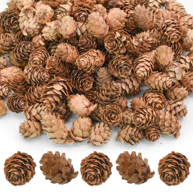 楽天市場】松ぼっくり 大型 Pinecone 強化プラスチック（FRP） アート