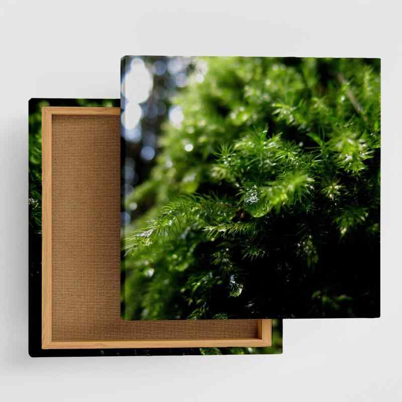 植物 自然 アートパネル 57cm × 57cm Lサイズ 日本製 ポスター おしゃれ インテリア 模様替え リビング 内装 グリーン 雫 風景 ファブリックパネル rsb-0003-L