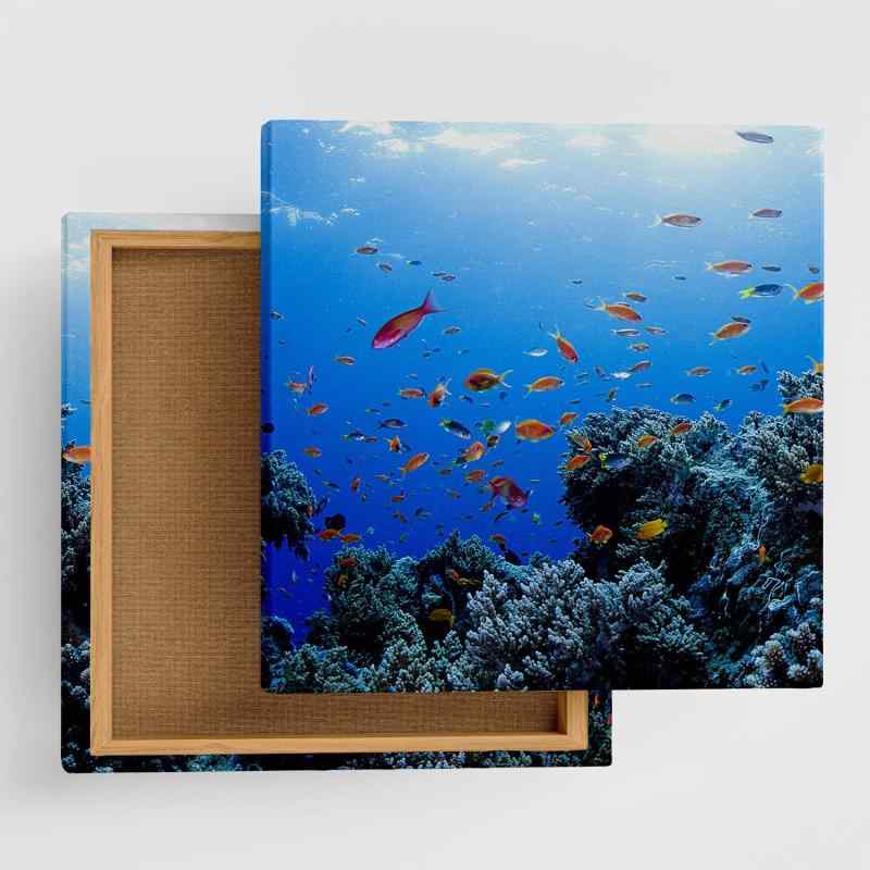 海 魚 芸術ダイアログボックス 100糎 × 100糎 XL大いさ 日本製 貼り出し 今めかしい 室内装飾 うつり変わり リビング 室内装飾 青碧 気取らない 活動写真 ファブリックパネル kus-0005-XL