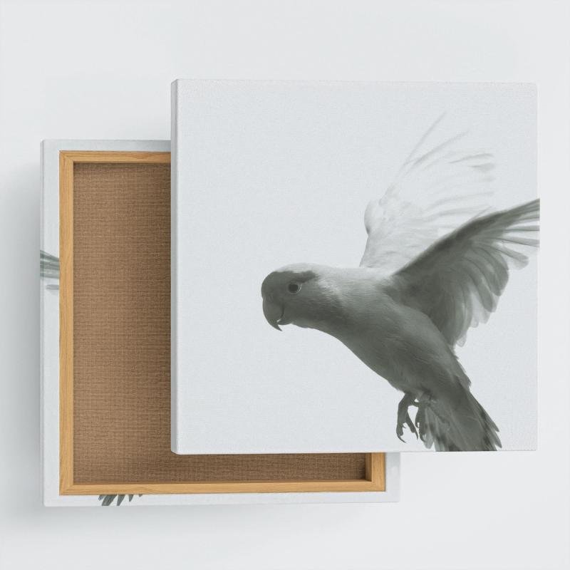 鳥 インコ アートパネル 57cm × 57cm Lサイズ 日本製 ポスター おしゃれ インテリア 模様替え リビング 内装 モノクロ シンプル 自然 ファブリックパネル pho-0109-L