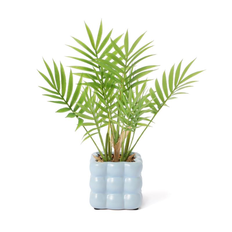 楽天市場】Francfranc ポット付グリーン アガベ XL フランフラン